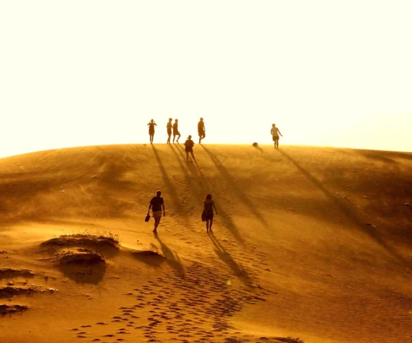 Tour Nha Trang -Mũi Né   3N2Đ